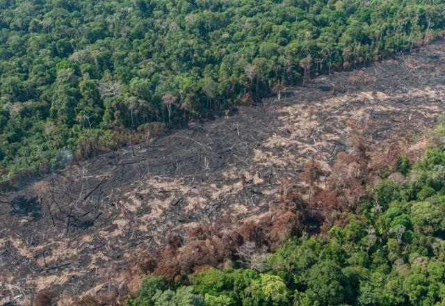 Destaque mais negativo fica com o Estado do Amazonas que desmatou 1.236 km² no primeiro semestre de 2022 | Vinícius Mendonça/Ibama