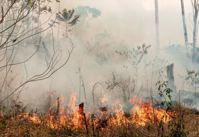 Fogo na Amazônia: desmatamento subiu em 2020, segundo o Inpe. Foto: Vinicius Mendonça/Ibama