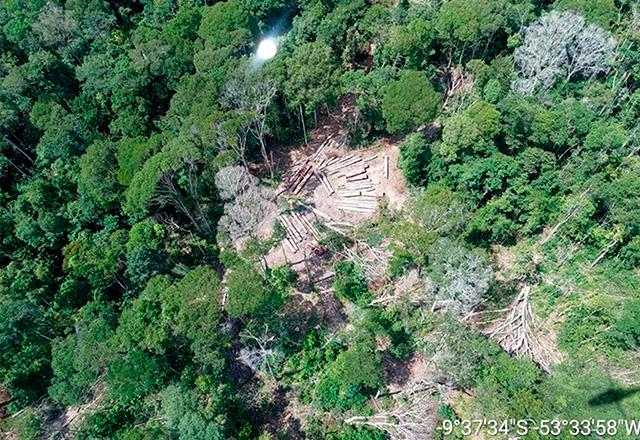 Imagem aérea mostra área desmatada ilegalmente em terra indígena