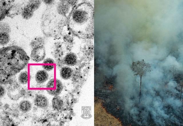 Imagem da ômicron em microscópio e floresta pegando fogo, símbolos dos principais assuntos internacionais de 2022