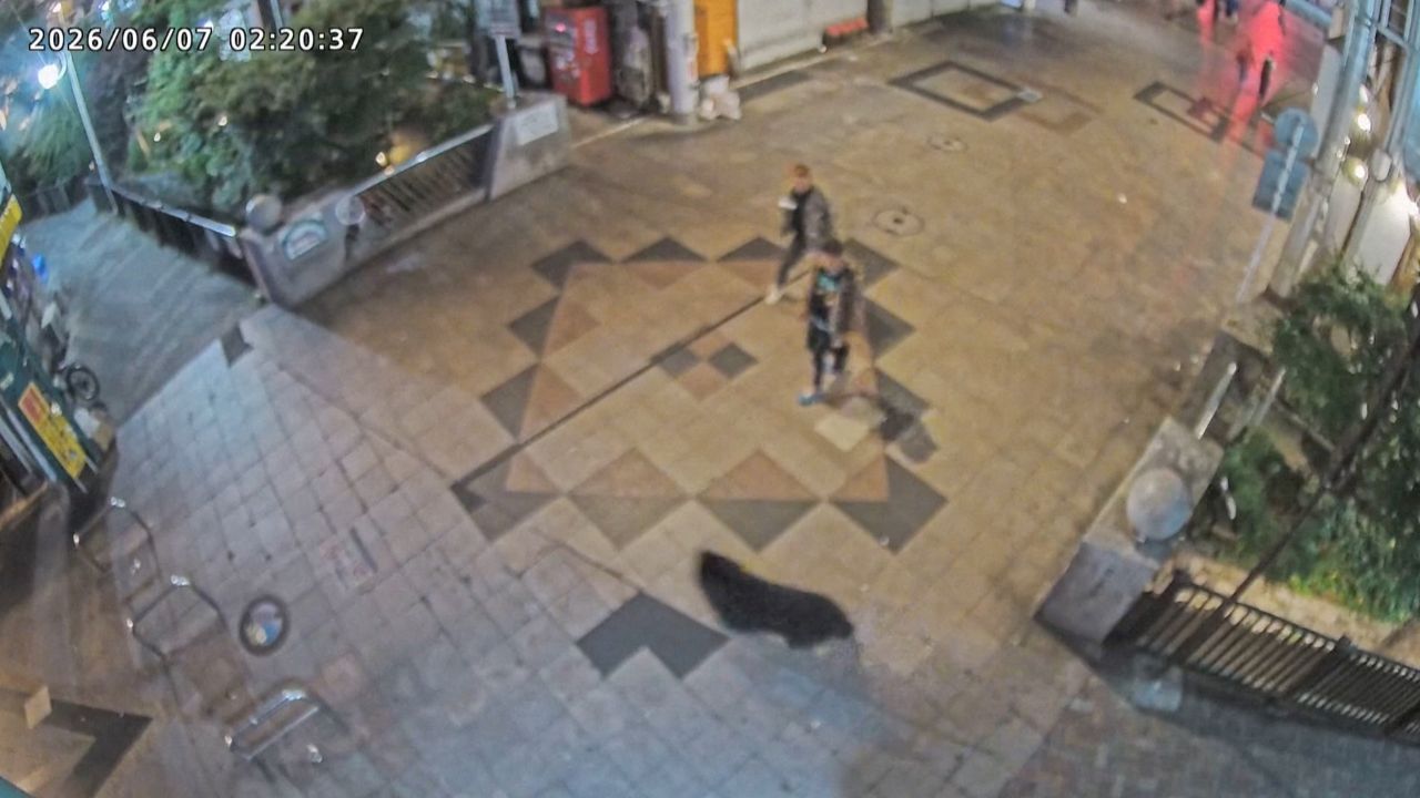 Imagem da notícia: Japão captura urso que fechou escolas e assustou cidade Imagem da notícia: Japão captura urso que fechou escolas e assustou cidade