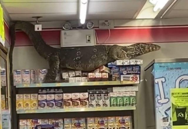 Imagem extraída do vídeo mostra o lagarto escalando a prateleira