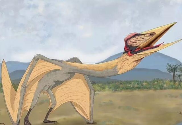 Imagem meramente ilustrativa da espécie Dragão da Morte