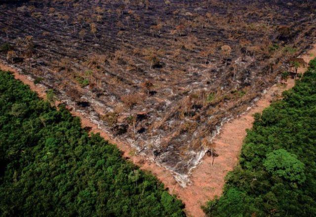 Imagem que reflete o desmatamento da Amazônia