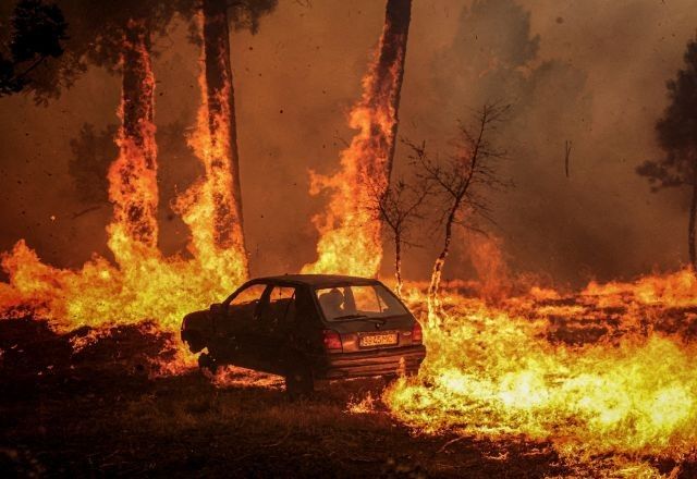 Incêndio em Meda, Portugal | 15/8/2025/Reuters/Pedro Nunes