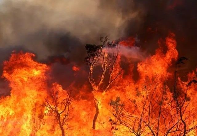 Incêndio no Parque Nacional de Brasília | Divulgação/Fabio Rodrigues-Pozzebom/Agência Brasil