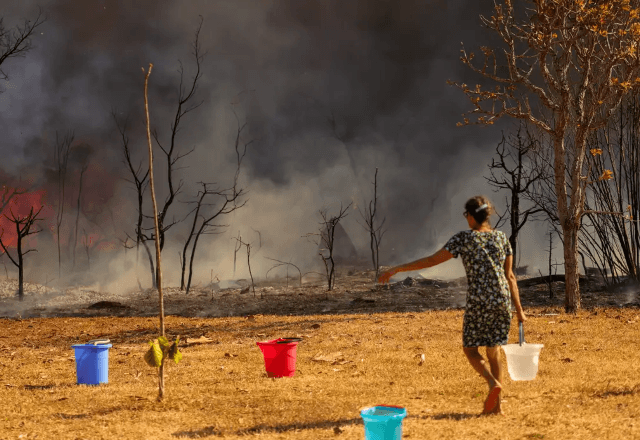 Incêndio no Parque Nacional de Brasília, em 2024 | Divulgação/Fabio Rodrigues-Pozzebom/Agência Brasil