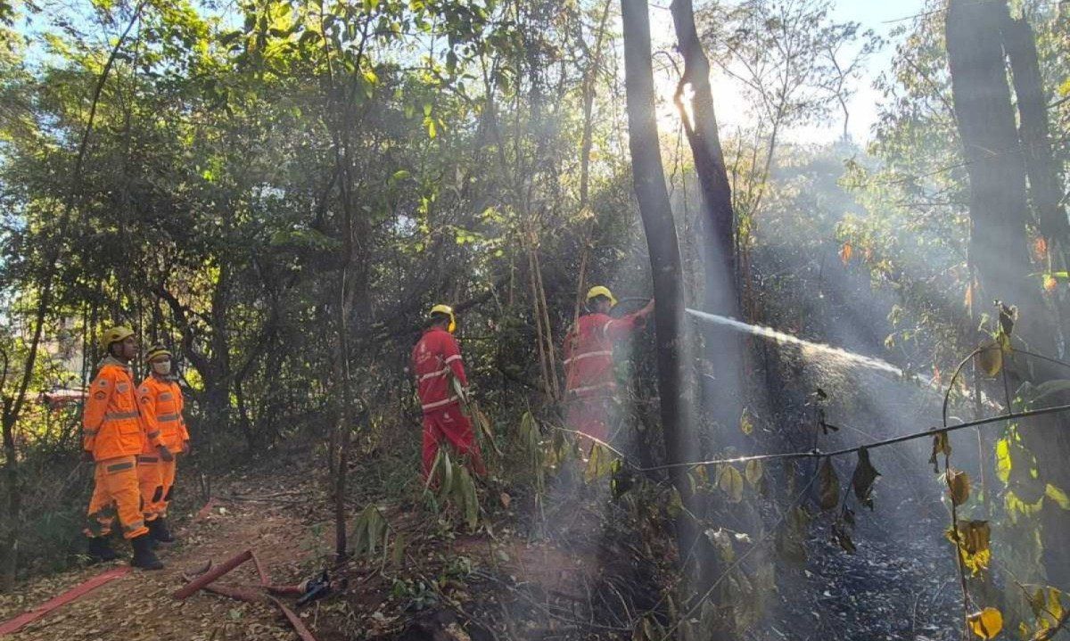 Equipes do Corpo de Bombeiros trabalham em fase de rescaldo | Jair Amaral/E.M
