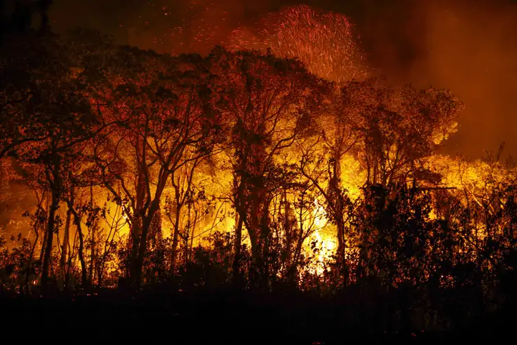 Incêndios no Pantanal