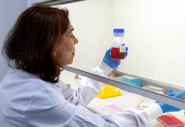 Instituto Butanta cria anticorpo contra vírus da Zika | Divulgação/Governo do Estado de SP