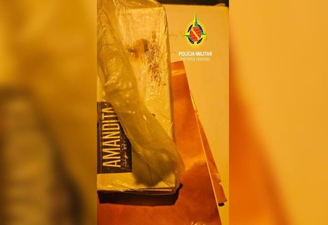 Item foi recolhido para análise após polícia também suspeitar de substâncias tóxicas no doce | Divulgação/PMDF