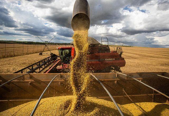 Já em relação à safra de 2022, a estimativa é de 263,2 milhões de toneladas, alta de 3,9% em relação a 2021 | Agência Brasil