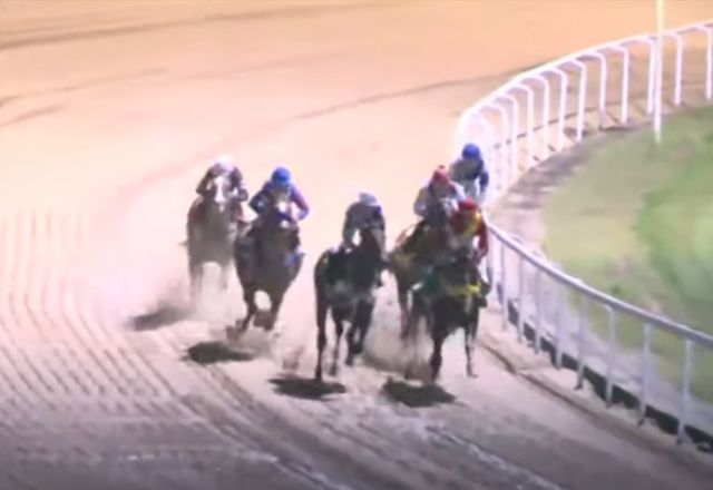 Justiça suspende lei que proibia corrida de cavalos no Jockey de São Paulo; entenda Justiça suspende lei que proibia corrida de cavalos no Jockey de São Paulo; entenda