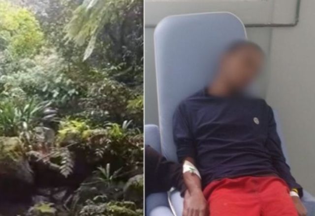 Jovem é encontrado após cinco dias perdido em área de mata em Bertioga (SP) | Reprodução