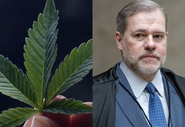 Julgamento sobre maconha no STF Toffoli abriu divergência com voto | Reprodução e Andressa Anholete/STF