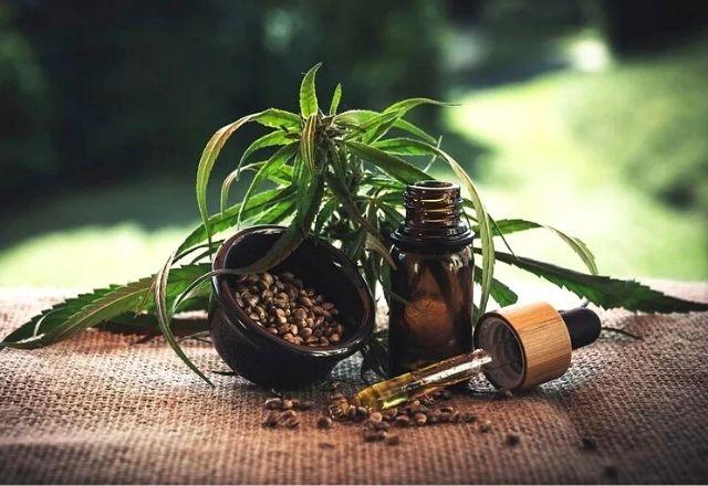 Novo produto aprovado é o Extrato de Cannabis Sativa Greencare 79,14 MG/ML | Pixabay