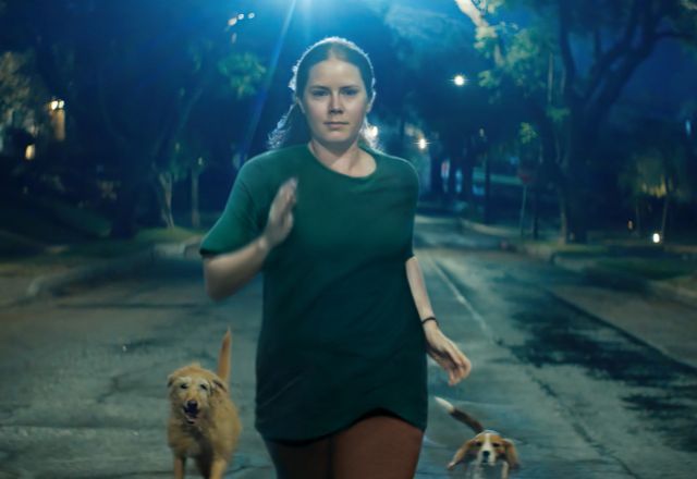 Filme "Canina", com Amy Adams, traz a experiência visceral da maternidade