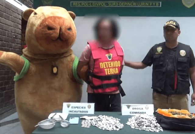 Vídeo: Policial fantasiado de capivara prende traficante no Peru
