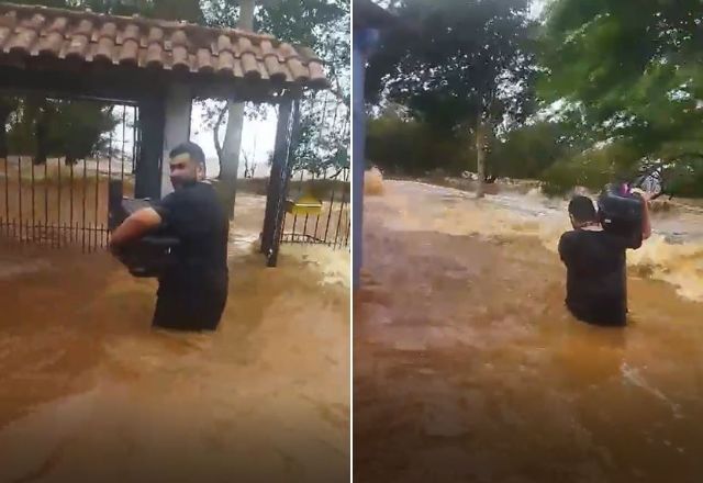 Morador do bairro Lami enfrenta ondas do Lago Guaíba para resgatar filhote de gato | Reprodução