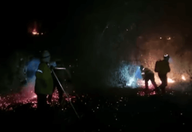 Incêndio de grandes proporções atinge Floresta Nacional de Ipanema, no interior de SP Incêndio de grandes proporções atinge Floresta Nacional de Ipanema, no interior de SP