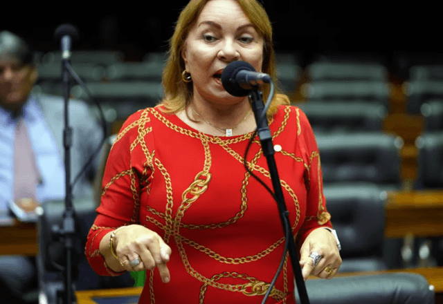 Deputada Maria Gorete Pereira | Pablo Valadares/Câmara dos Deputados