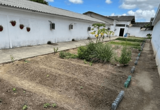 Horta da cela de Collor | Divulgação/TJAL