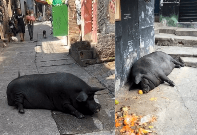 Beth descansa nas vielas da Rocinha | Reprodução
