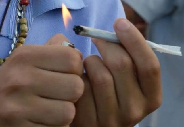 Maconha | Arquivo/Agência Brasil