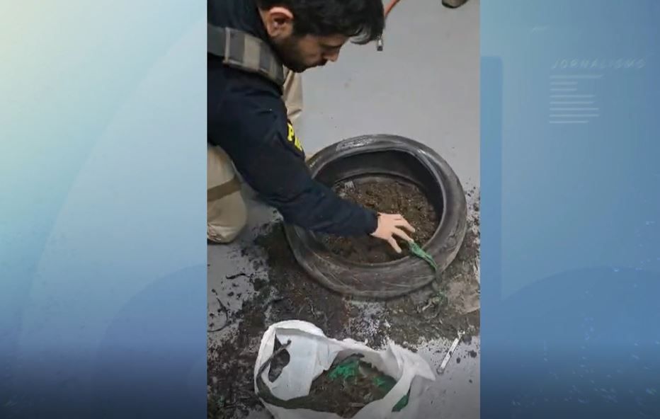 Maconha encontrada em pneu | Reprodução