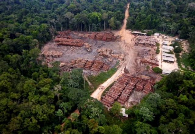 Madeira na Amazônia