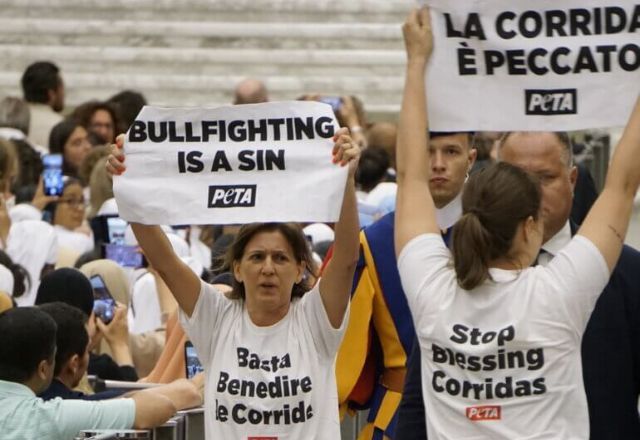 Manifestantes pedem para Papa condenar o 'esporte sangrento' | Divulgação/PETA