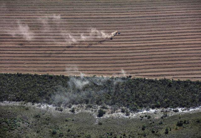 Manutenção do Cerrado é condição para a distribuição da água pelo Brasil | Greenpeace