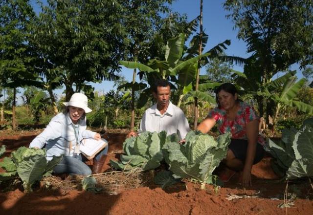 Foto: Albino Oliveira / Ministério do Desenvolvimento Agrário