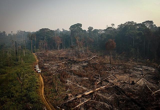 Ministro do Meio Ambiente nega erros do governo sobre desmatamento Ministro do Meio Ambiente nega erros do governo sobre desmatamento