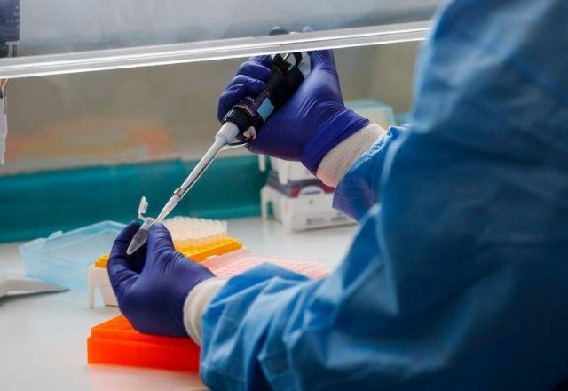 Pesquisadores da USP isolam variante ômicron em laboratório Pesquisadores da USP isolam variante ômicron em laboratório