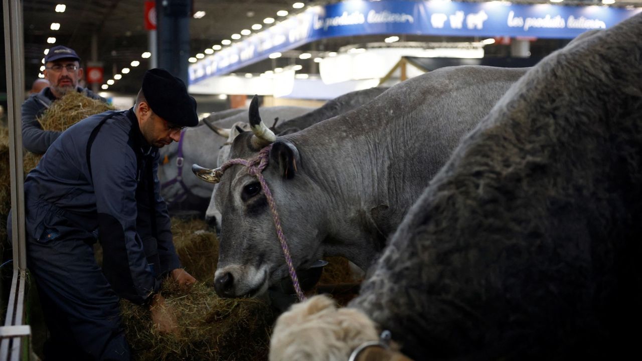 França registra primeiro caso humano do vírus Shamonda