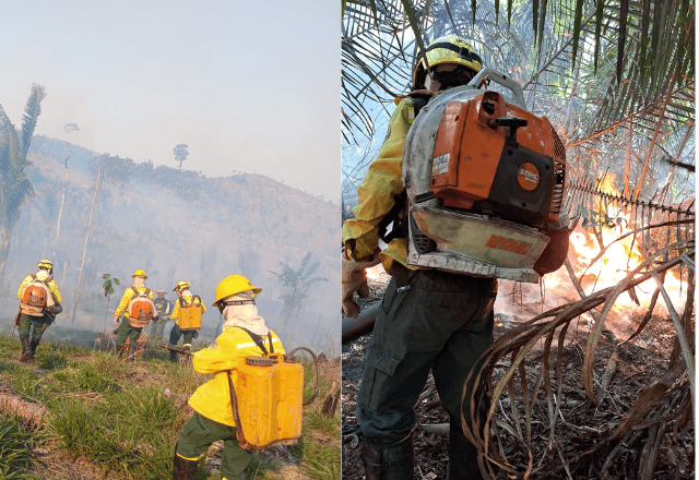  Incêndio florestal atinge Terra Indígena Tenharin Marmelos, no sul do Amazonas | Foto: reprodução/Ibama 