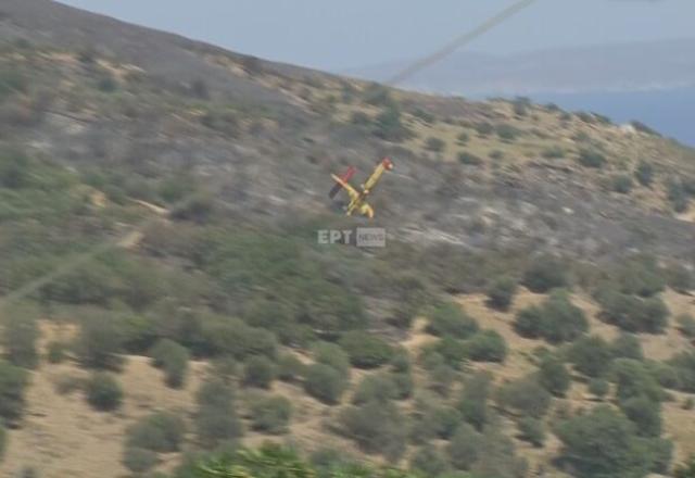 Momento em que avião cai durante o combate aos incêndios florestais que atingem a Grécia