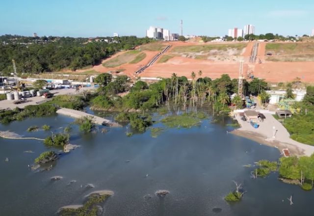 Morte de peixes não tem relação com desabamento da mina 18, em Maceió (AL) | SBT