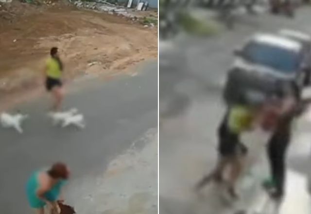 Mulher tem cães atacados por pitbull e é agredida pelo dono do animal