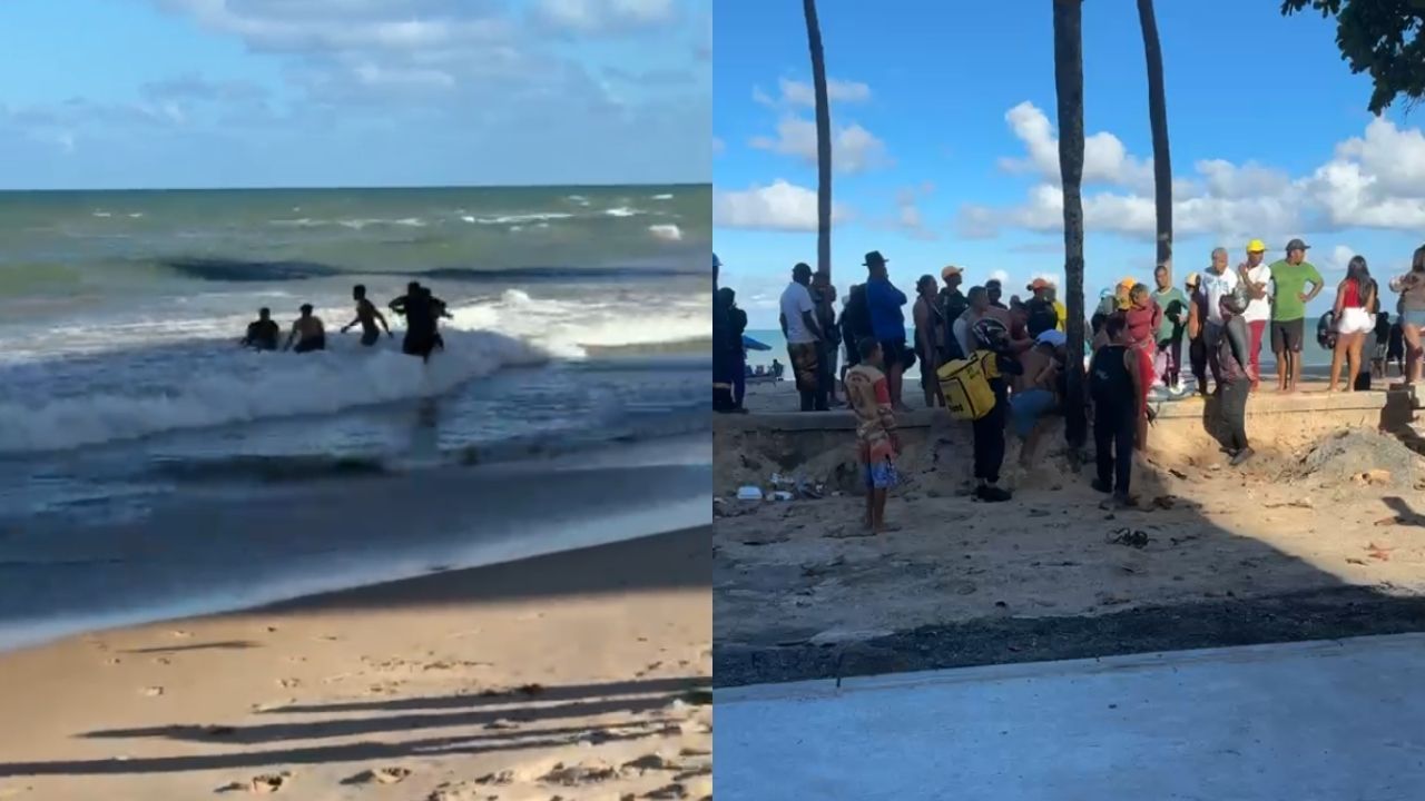 Imagem da notícia: Jovem é mordida por tubarão em PE; caso é o 2º em dois dias Imagem da notícia: Jovem é mordida por tubarão em PE; caso é o 2º em dois dias