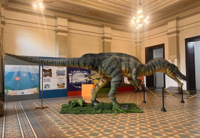Museu de Ciências da Terra foi criado em 1907 sendo o único do país com exemplares de ovos de dinossauro
