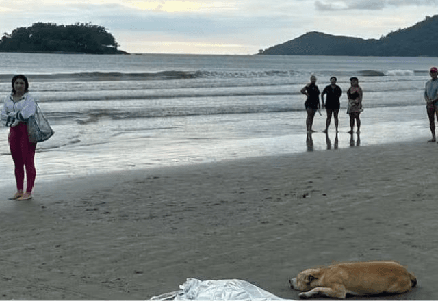 Cachorro ao lado do dono morto em SC | PM-SC