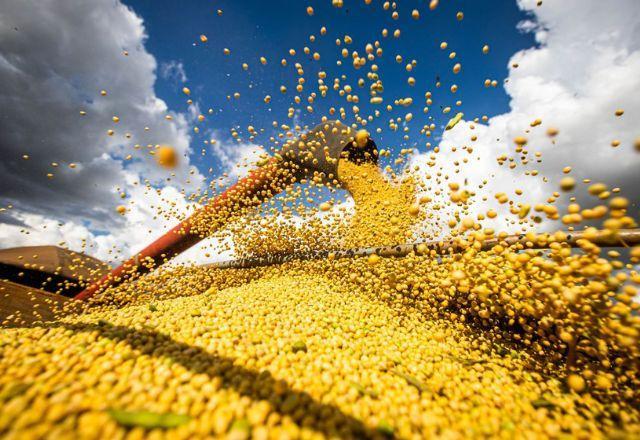 Brasil caminha para ter sua menor safra de trigo em 5 anos | Agência Brasil