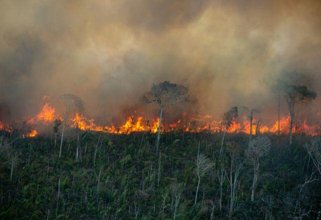 Foto: Greenpeace
