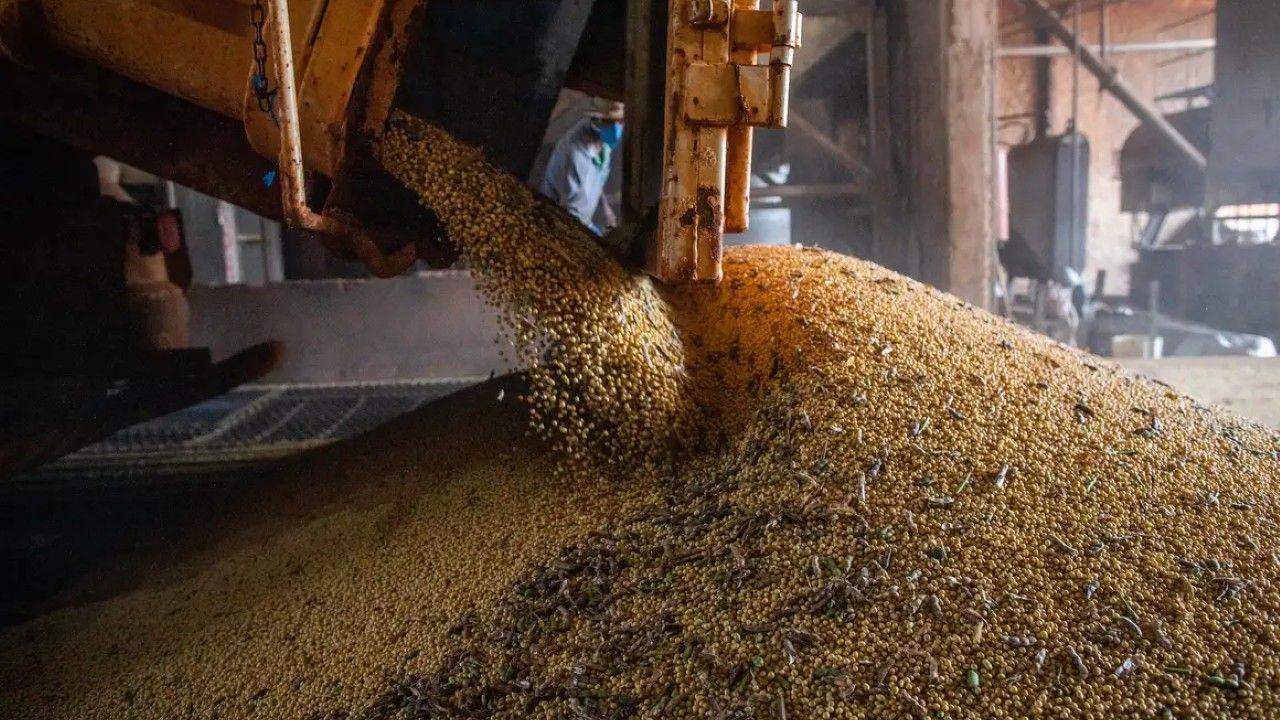 IBC-Br: prévia do PIB sobe 0,5% em abril de 2026
