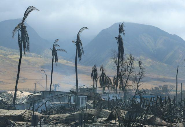 O incêndio florestal que atingiu Maui, no Havaí, já resultou na morte de 96 pessoas | Divulgação