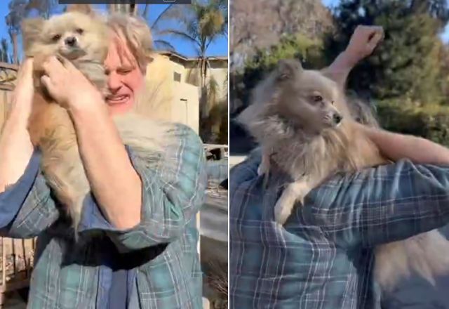Vídeo: Homem reencontra cachorro perdido durante incêndios em Los Angeles
