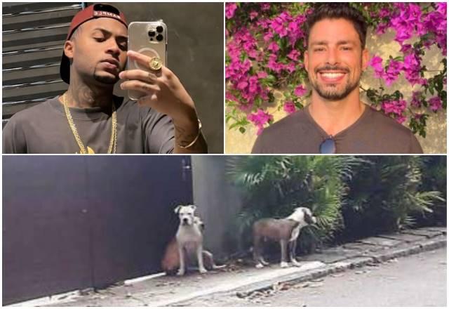 Orochi, Cauã Reymond e os cães que seriam do rapper