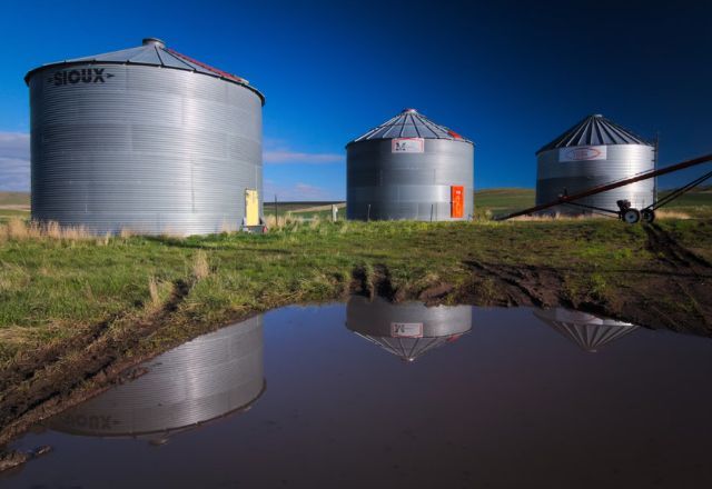 Os silos em nossas vidas surgem em nossa infância e permanecem por toda a nossa vida | Unsplash